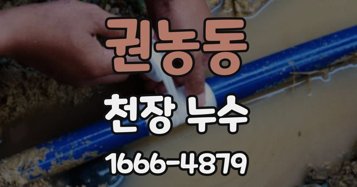 권농동 천장 누수