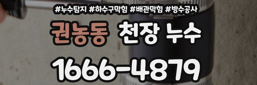 권농동 천장 누수