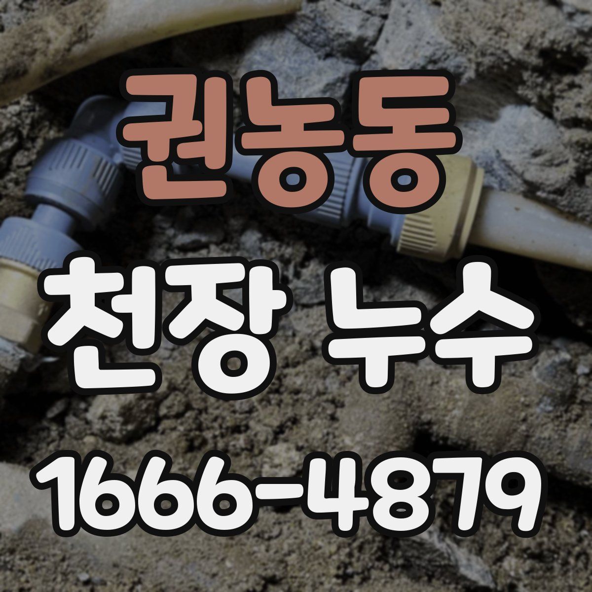 권농동 천장 누수