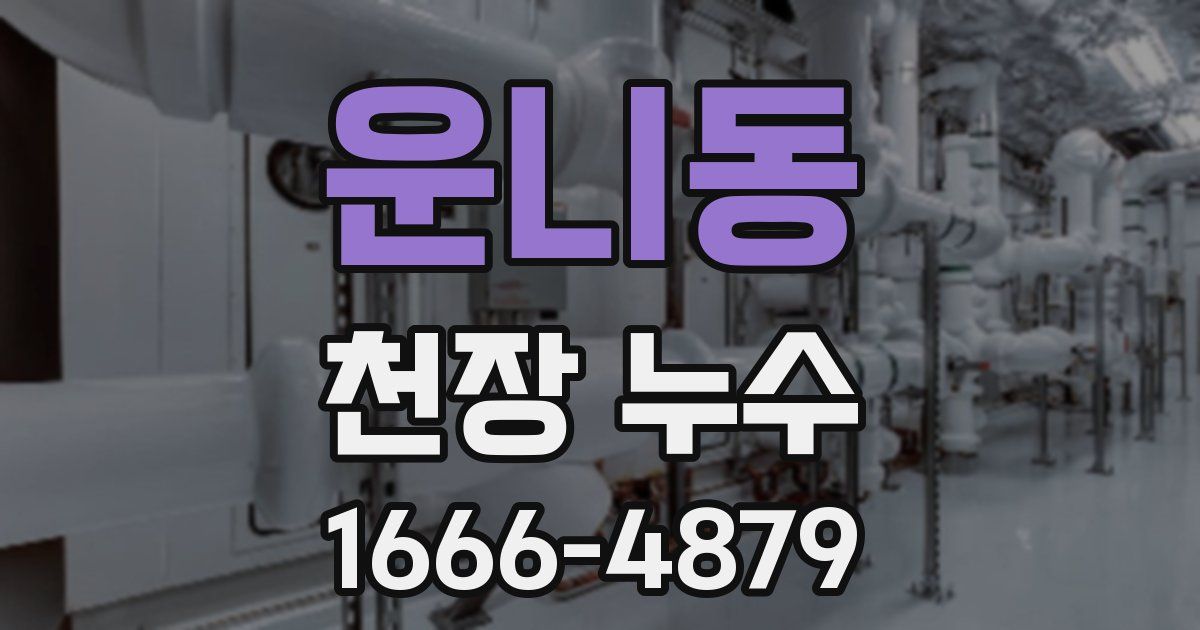 운니동 천장 누수