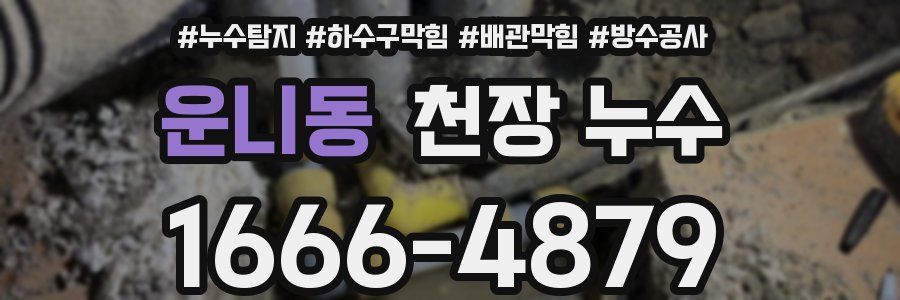 운니동 천장 누수