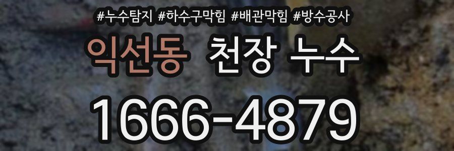 익선동 천장 누수