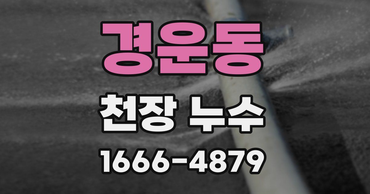 경운동 천장 누수
