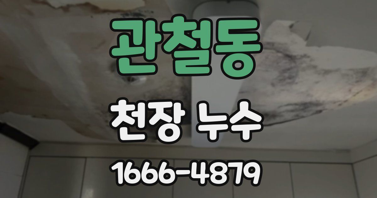 관철동 천장 누수