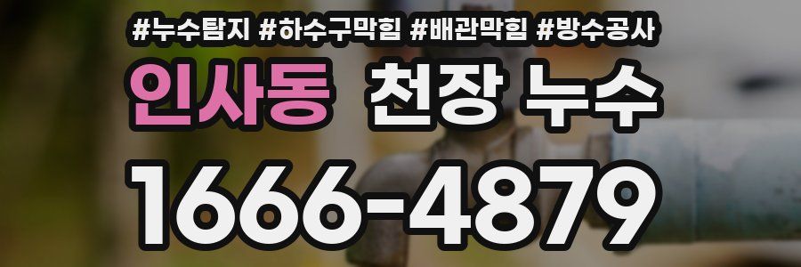 인사동 천장 누수