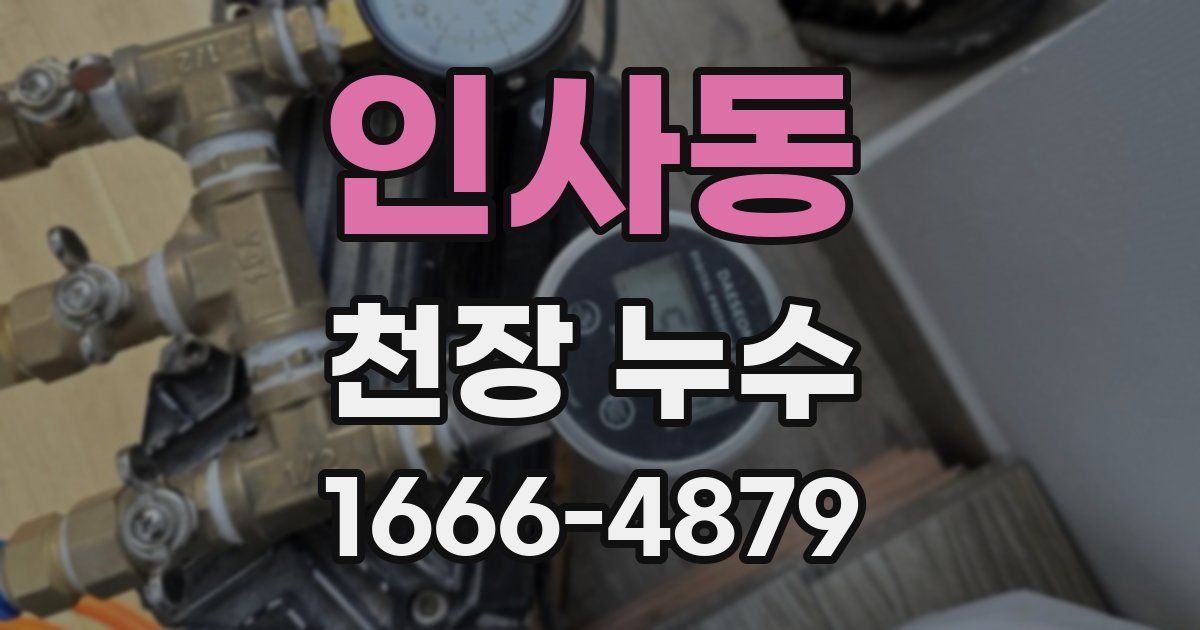 인사동 천장 누수