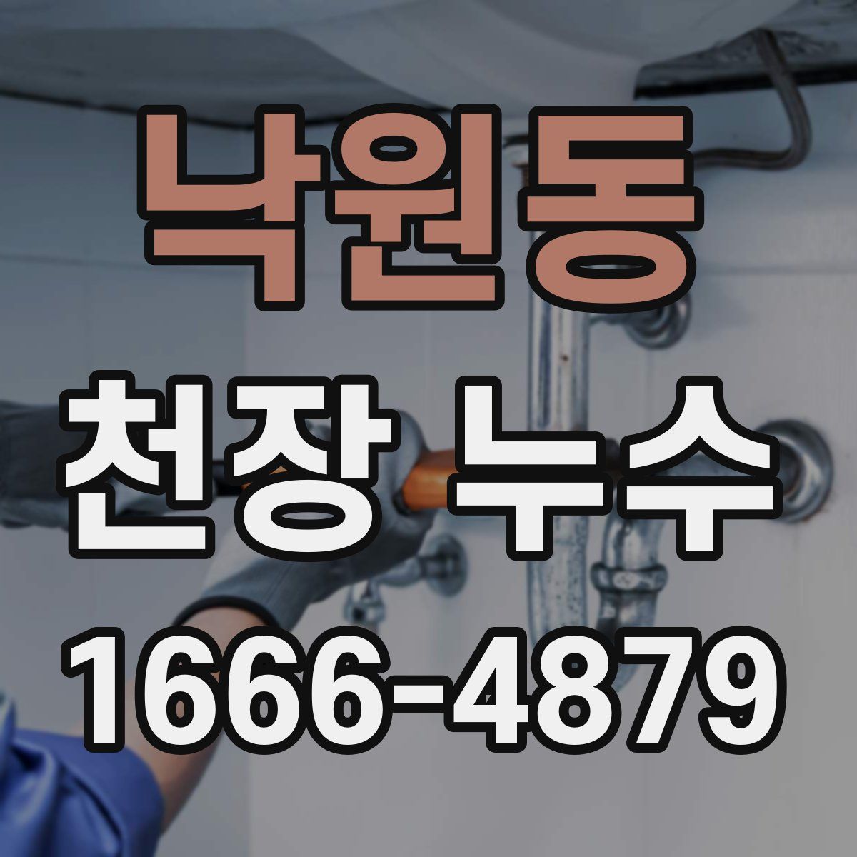 낙원동 천장 누수