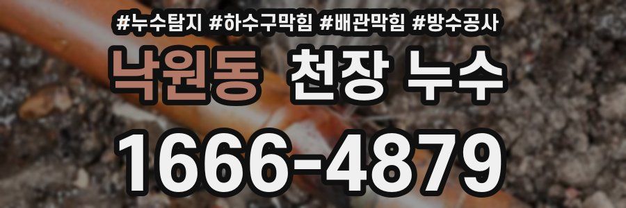 낙원동 천장 누수