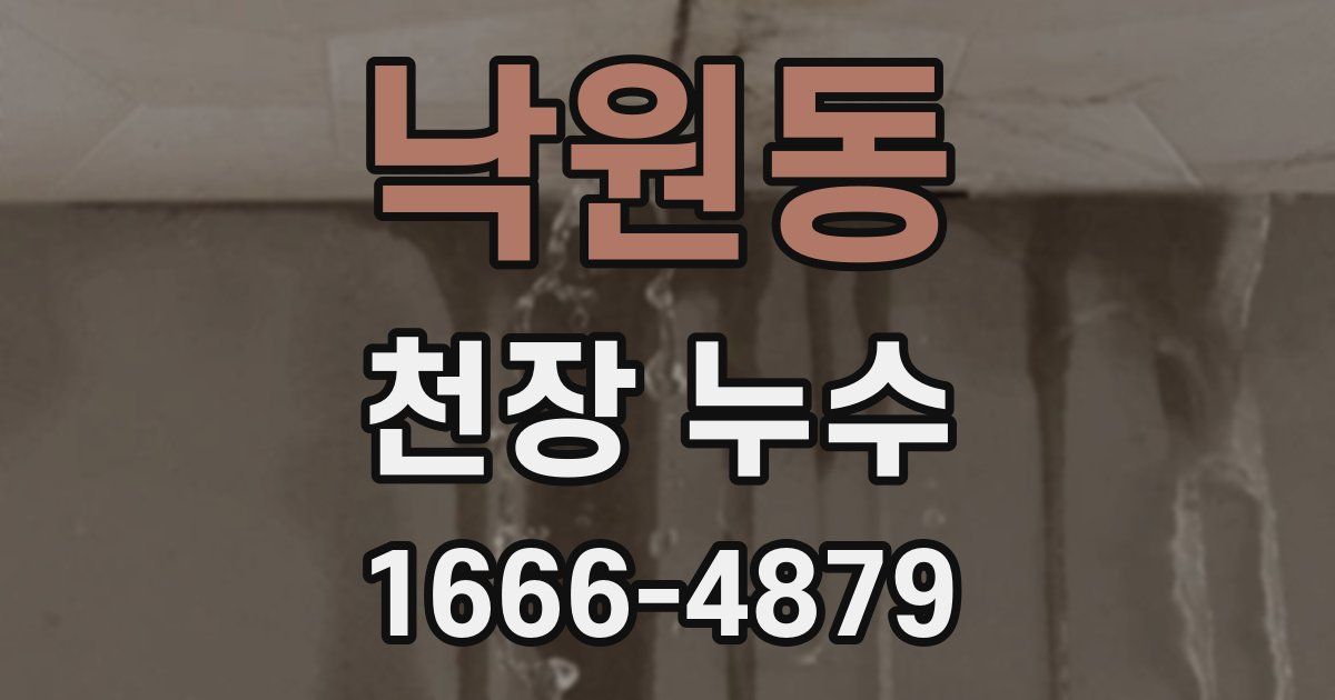 낙원동 천장 누수