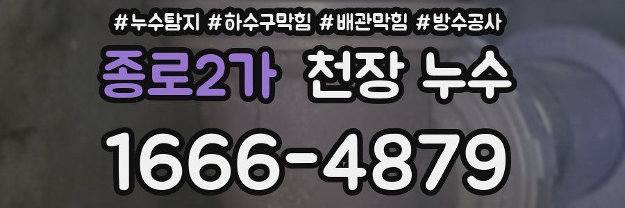 종로2가 천장 누수