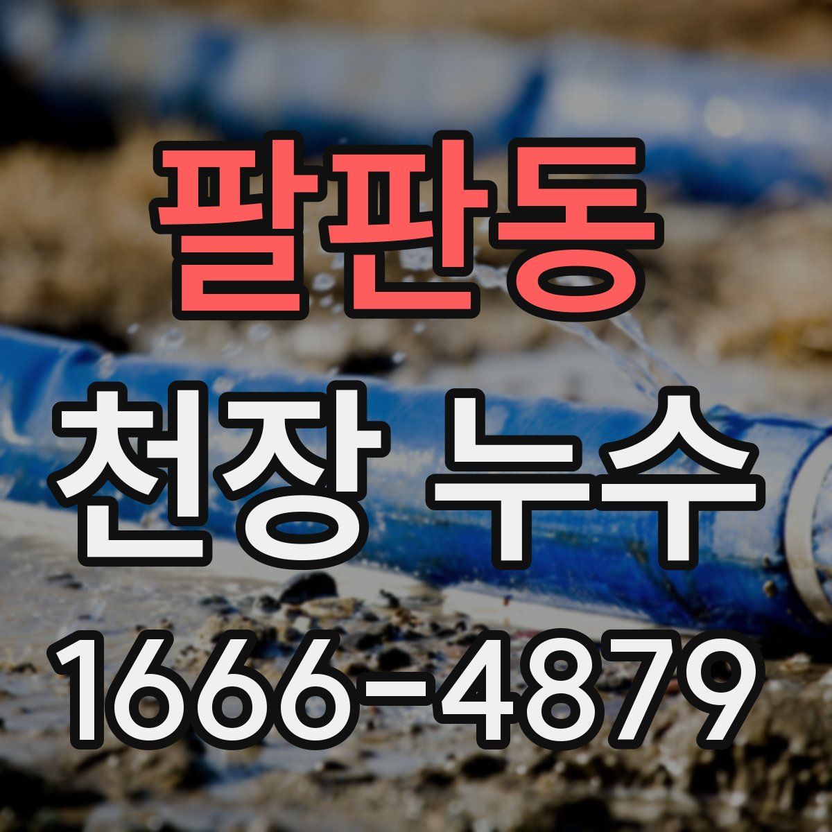 팔판동 천장 누수