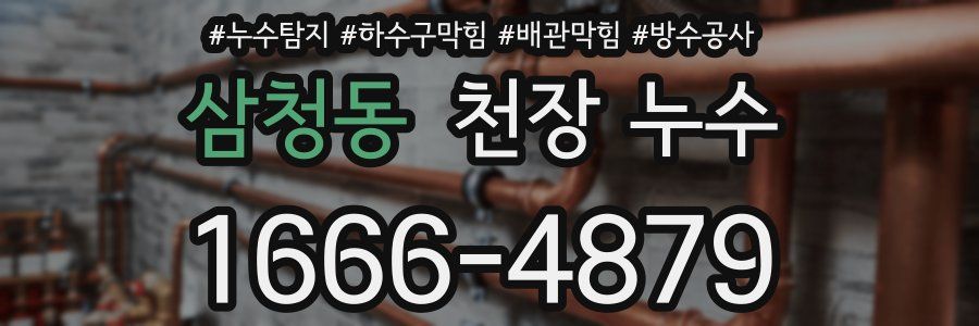 삼청동 천장 누수