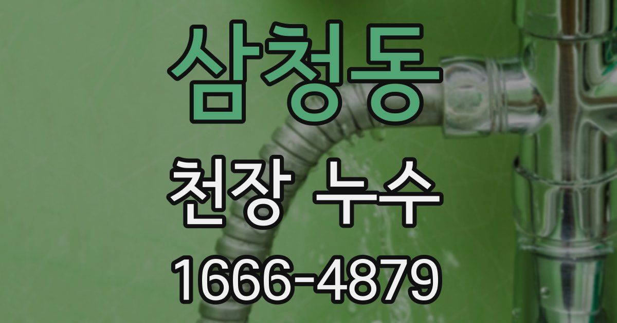 삼청동 천장 누수