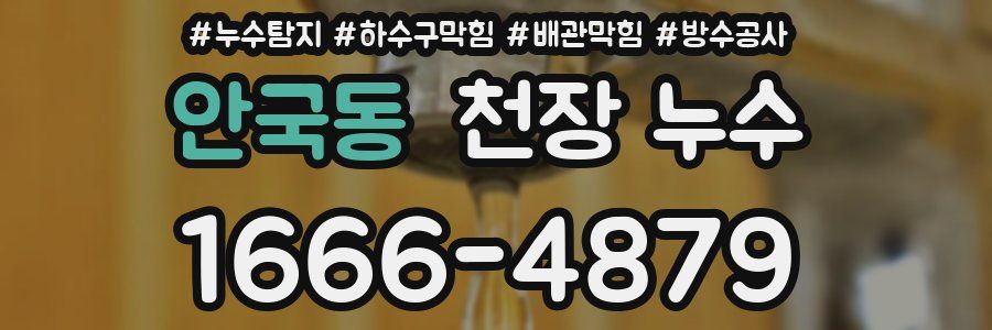 안국동 천장 누수