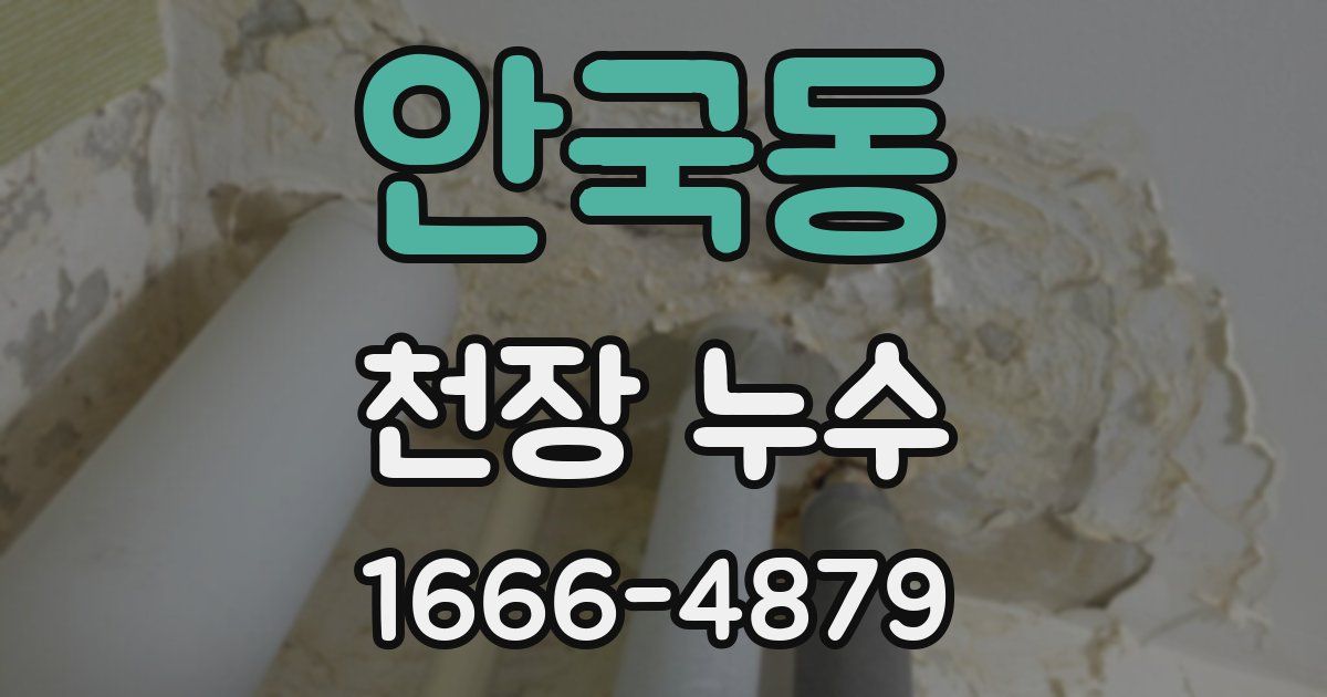 안국동 천장 누수