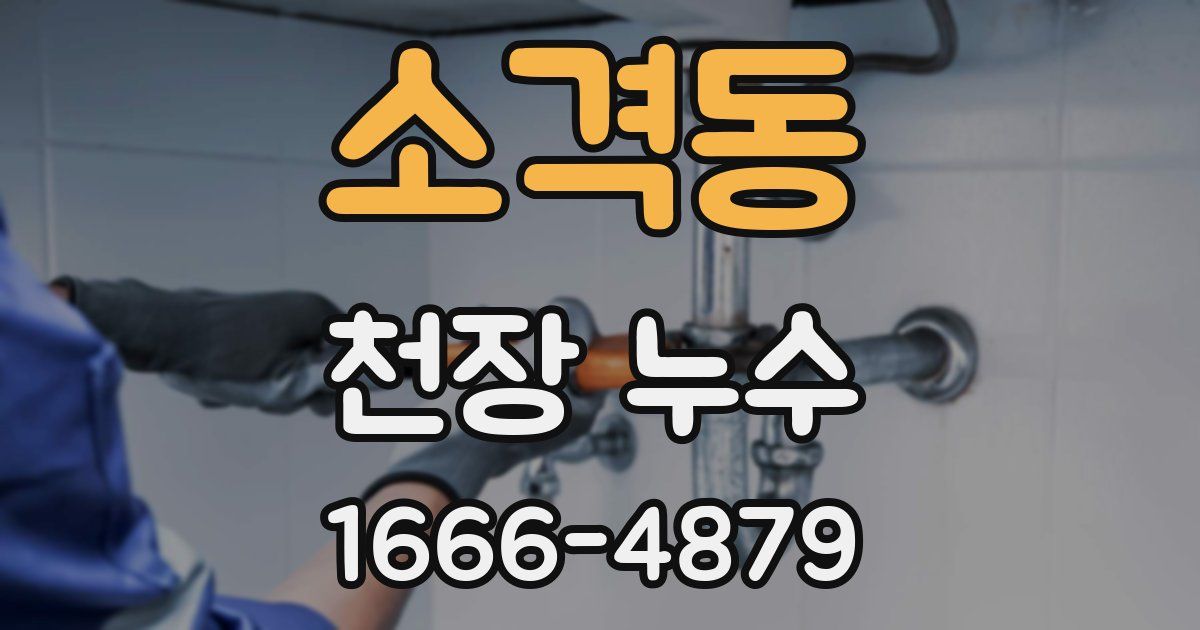소격동 천장 누수