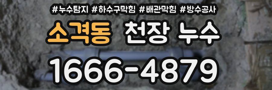 소격동 천장 누수