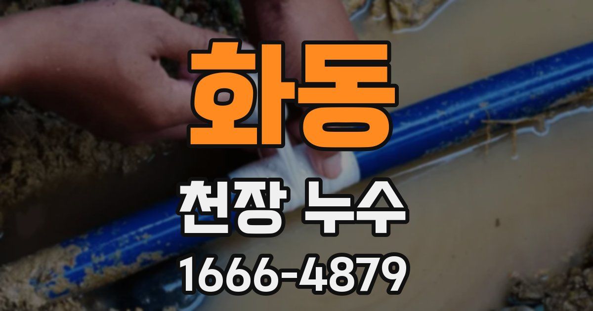 화동 천장 누수