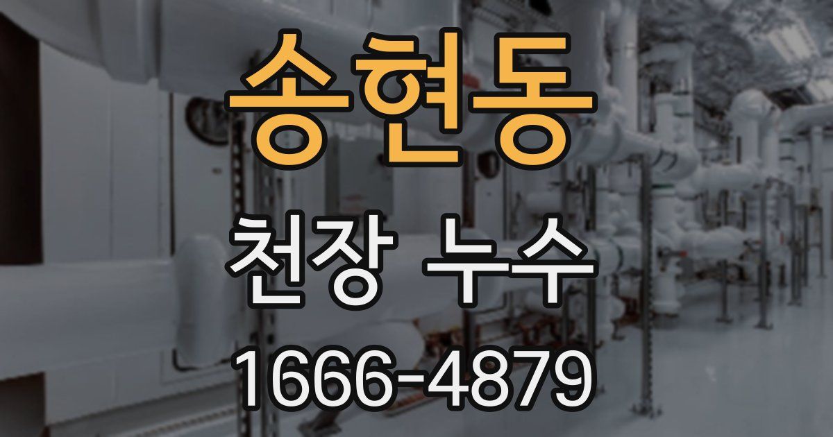 송현동 천장 누수
