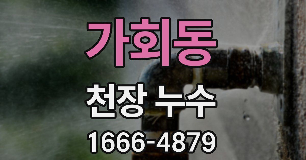 가회동 천장 누수