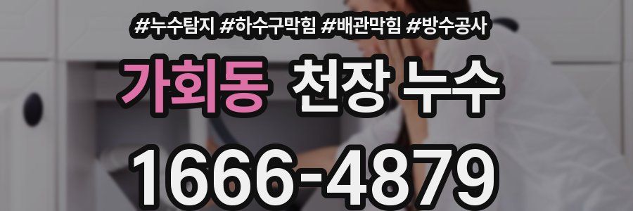 가회동 천장 누수
