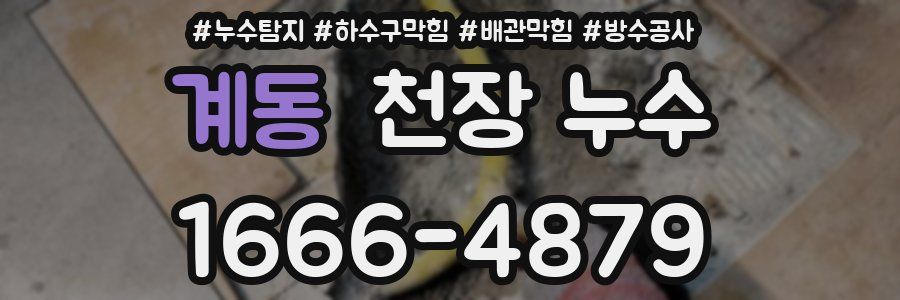 계동 천장 누수