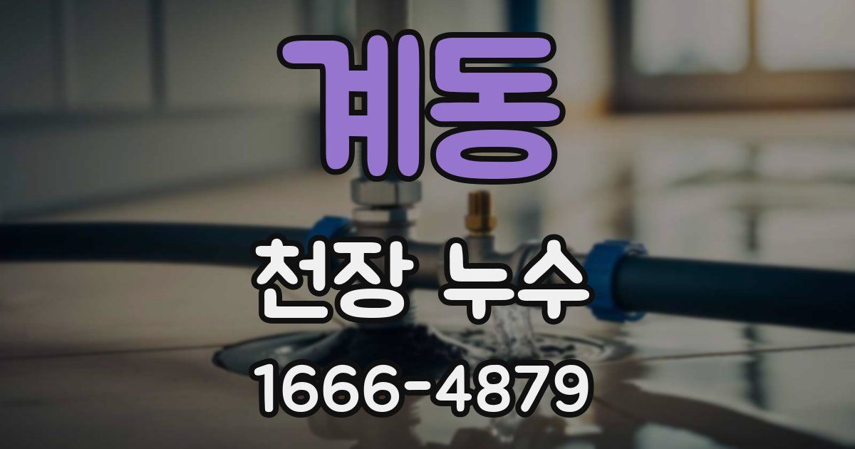 계동 천장 누수