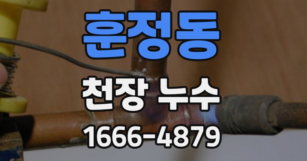 훈정동 천장 누수