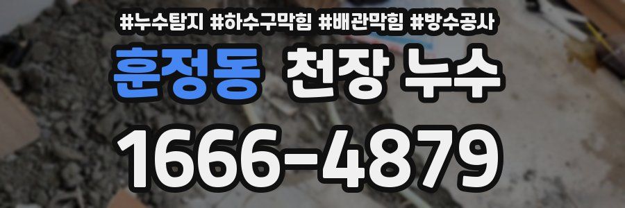 훈정동 천장 누수