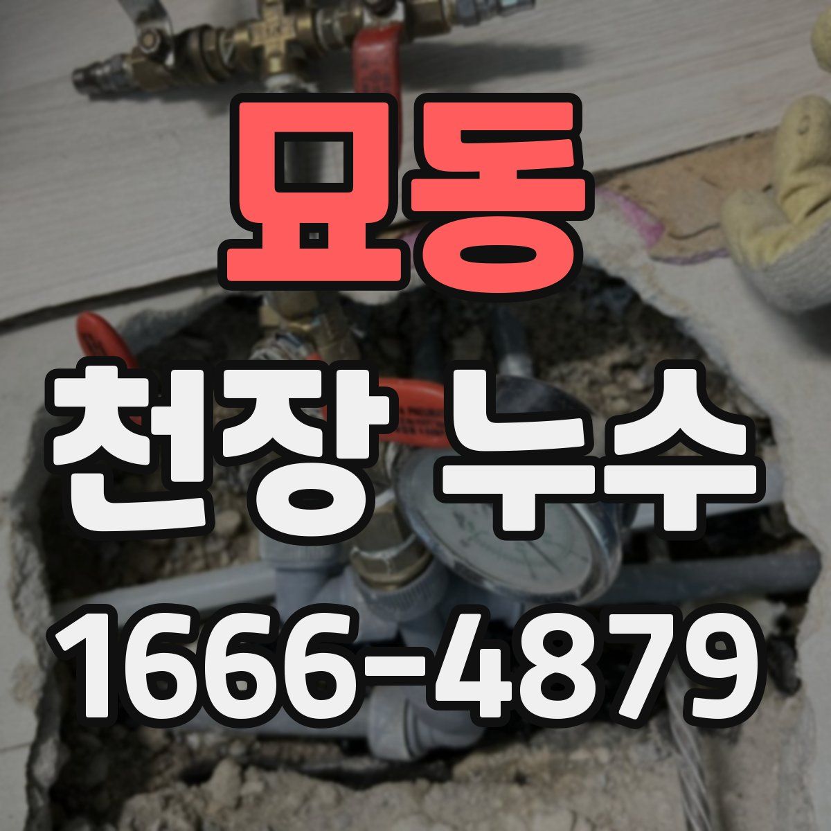 묘동 천장 누수