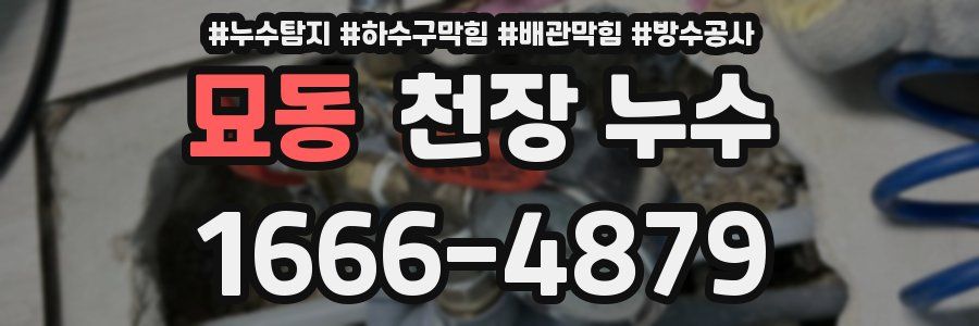 묘동 천장 누수