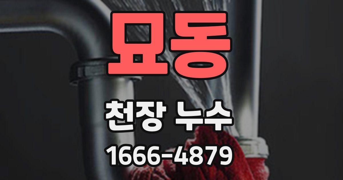 묘동 천장 누수