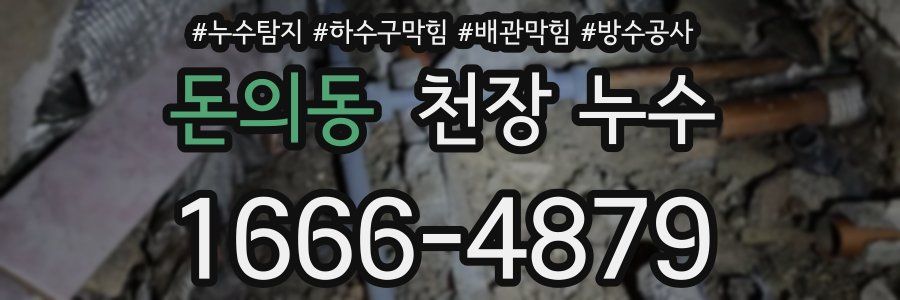 돈의동 천장 누수