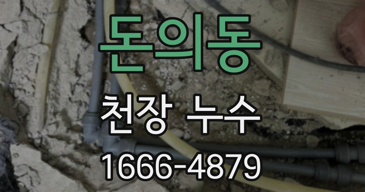 돈의동 천장 누수