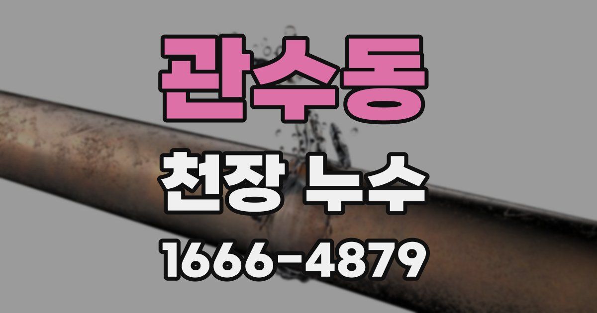 관수동 천장 누수