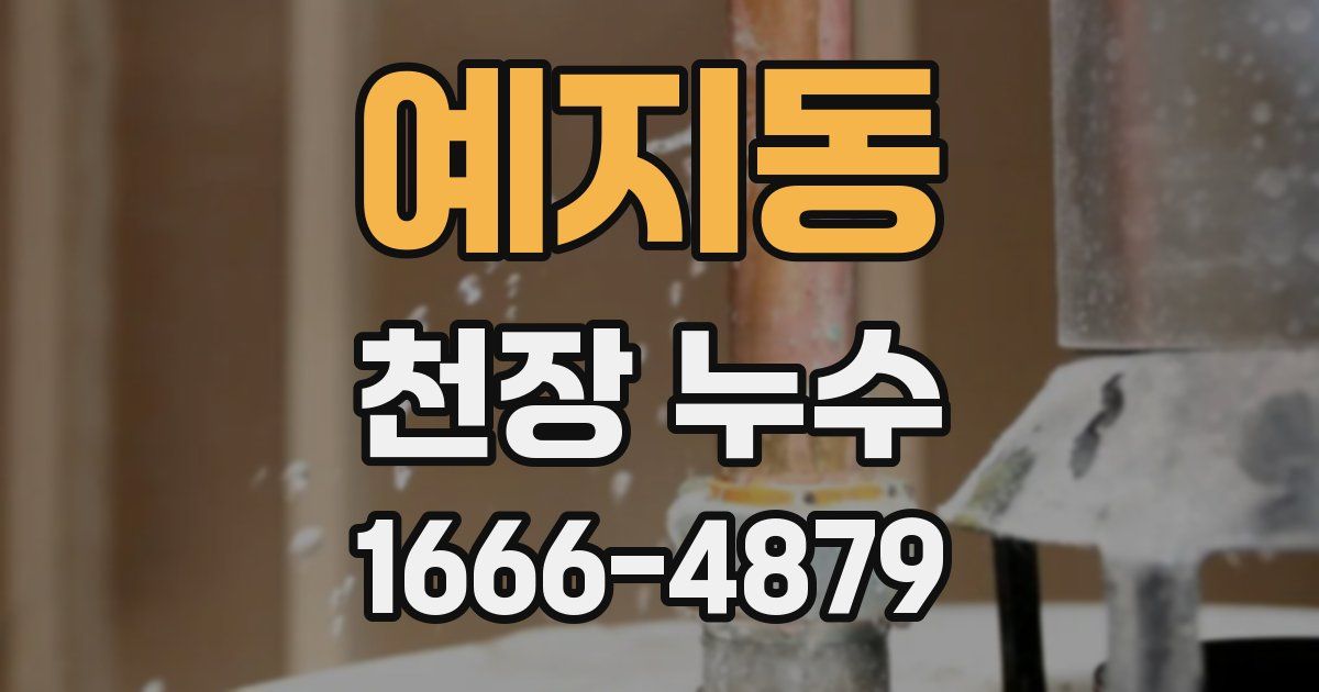 예지동 천장 누수