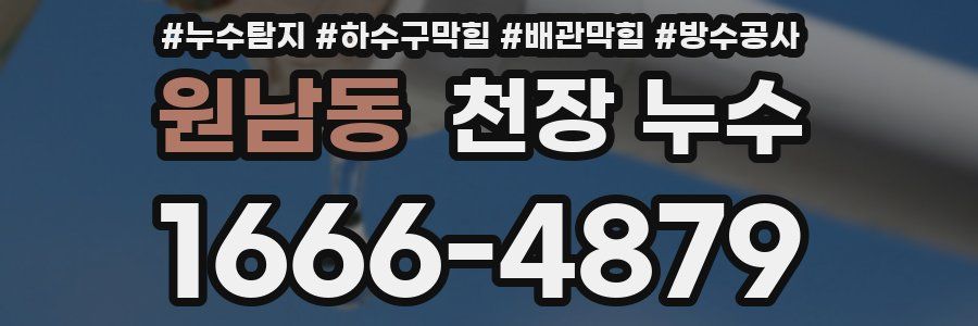 원남동 천장 누수