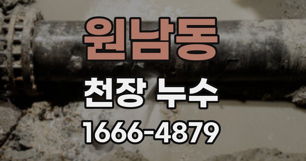 원남동 천장 누수