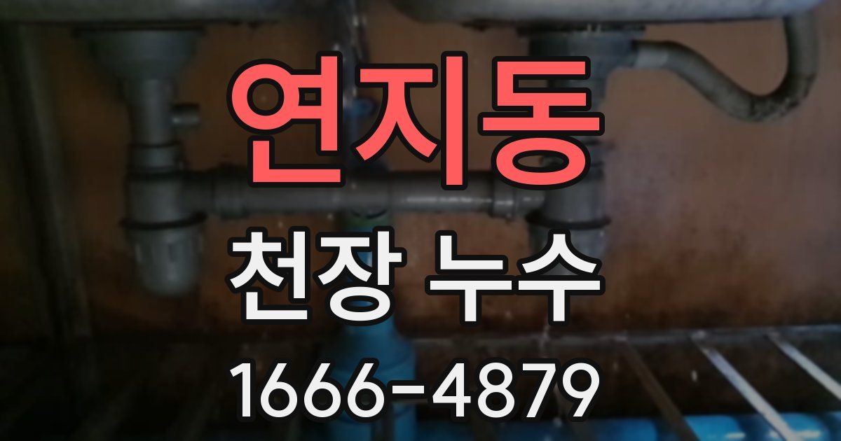 연지동 천장 누수