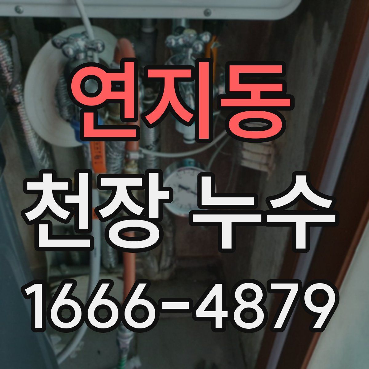 연지동 천장 누수