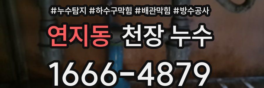 연지동 천장 누수
