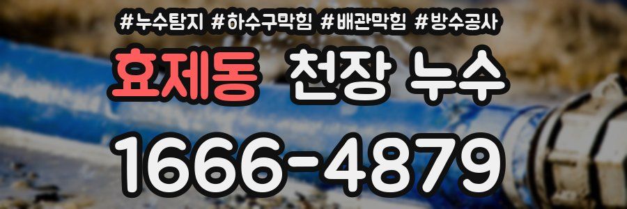 효제동 천장 누수