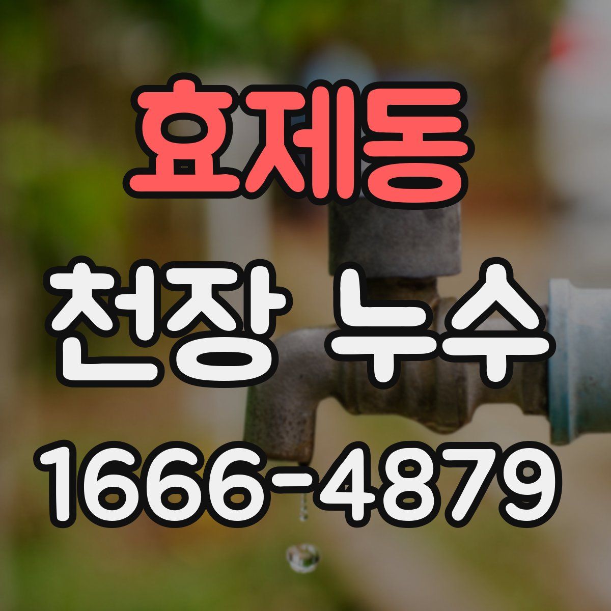 효제동 천장 누수