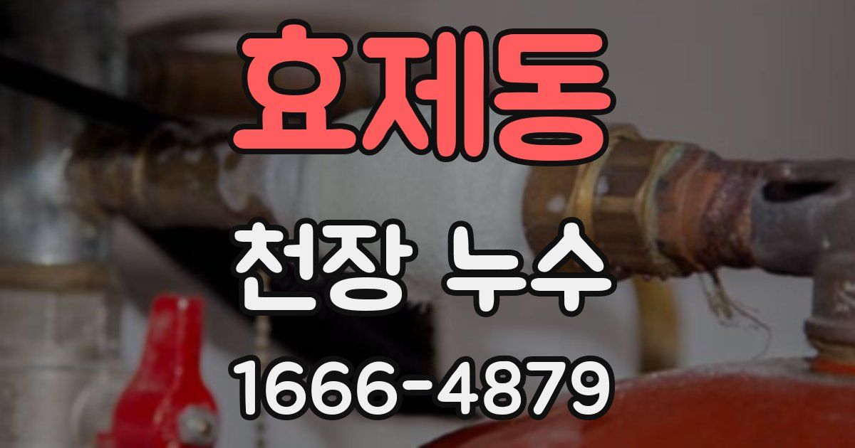 효제동 천장 누수