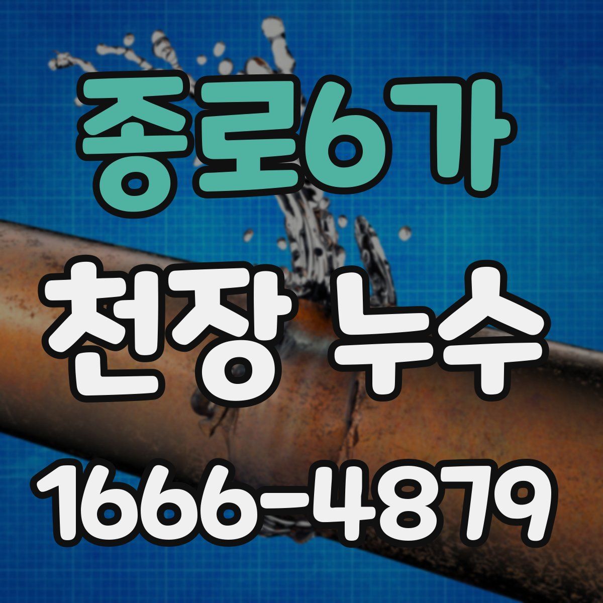 종로6가 천장 누수