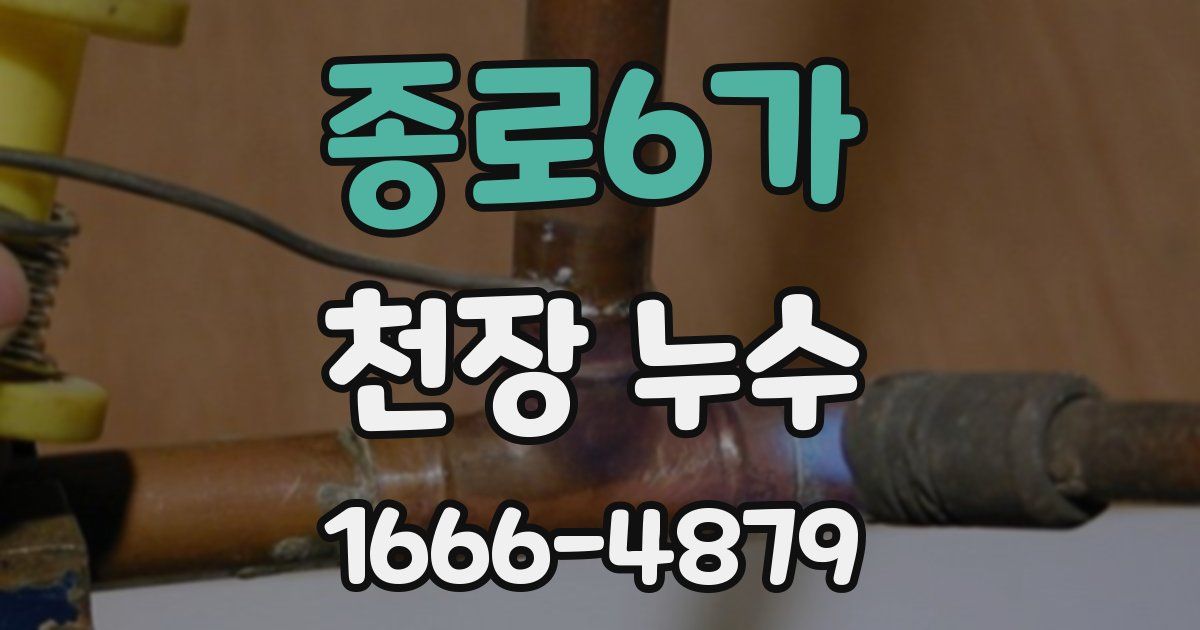 종로6가 천장 누수