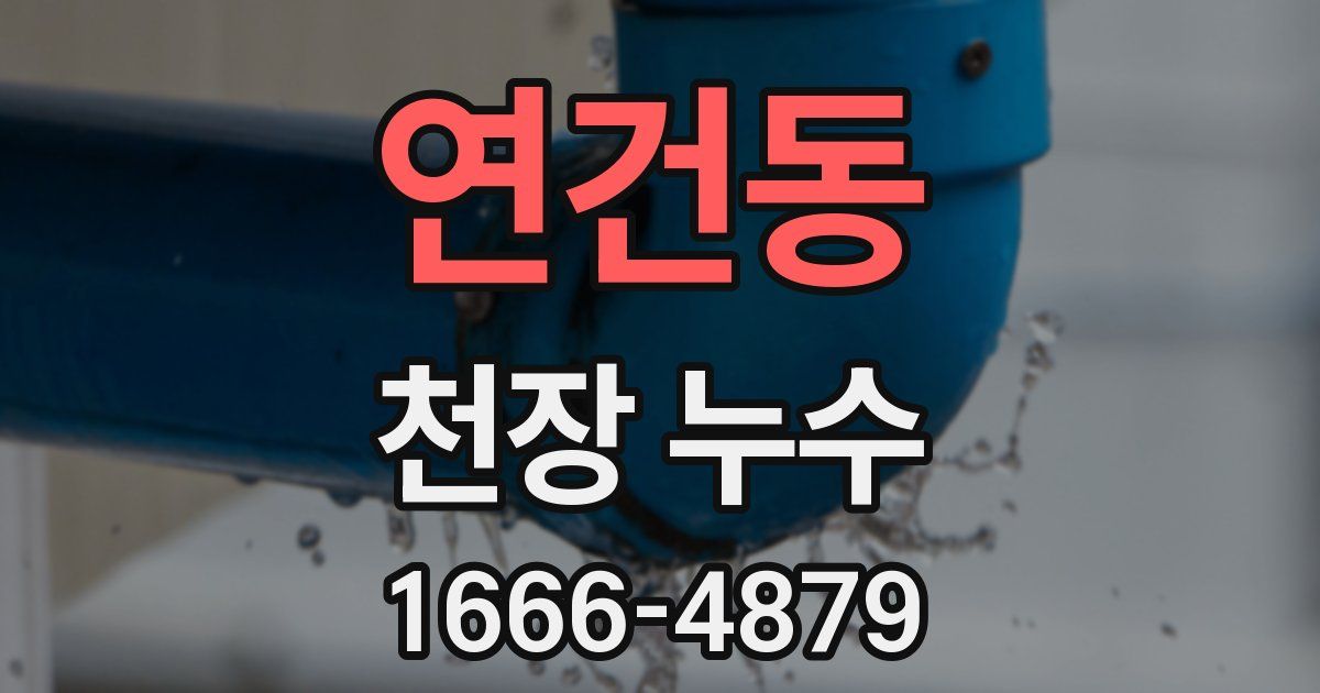 연건동 천장 누수