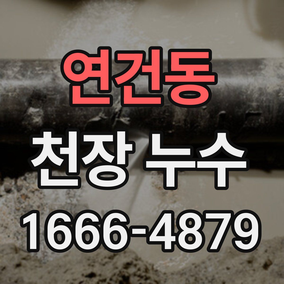 연건동 천장 누수