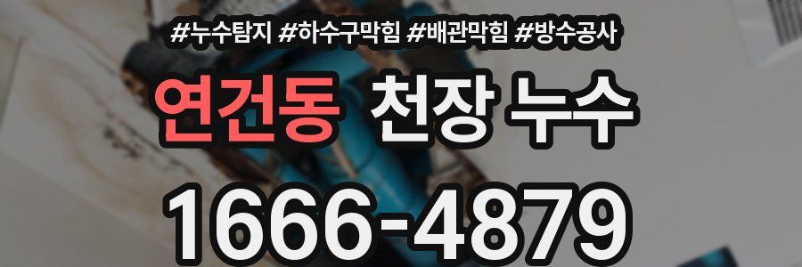 연건동 천장 누수