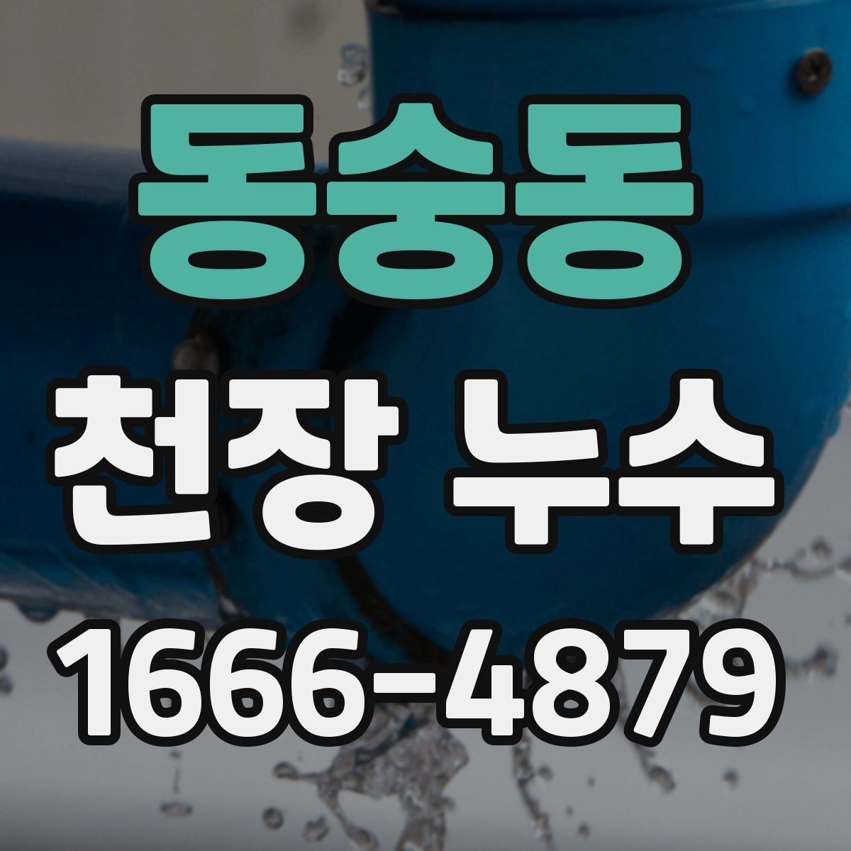 동숭동 천장 누수